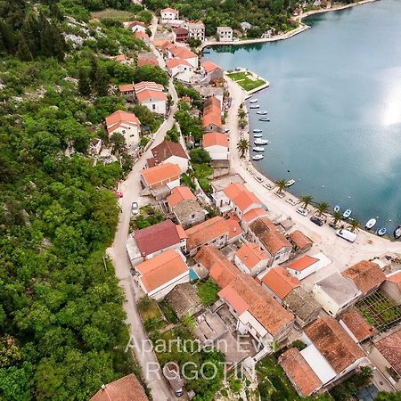 Apartman Eva Rogotin Kültér fotó