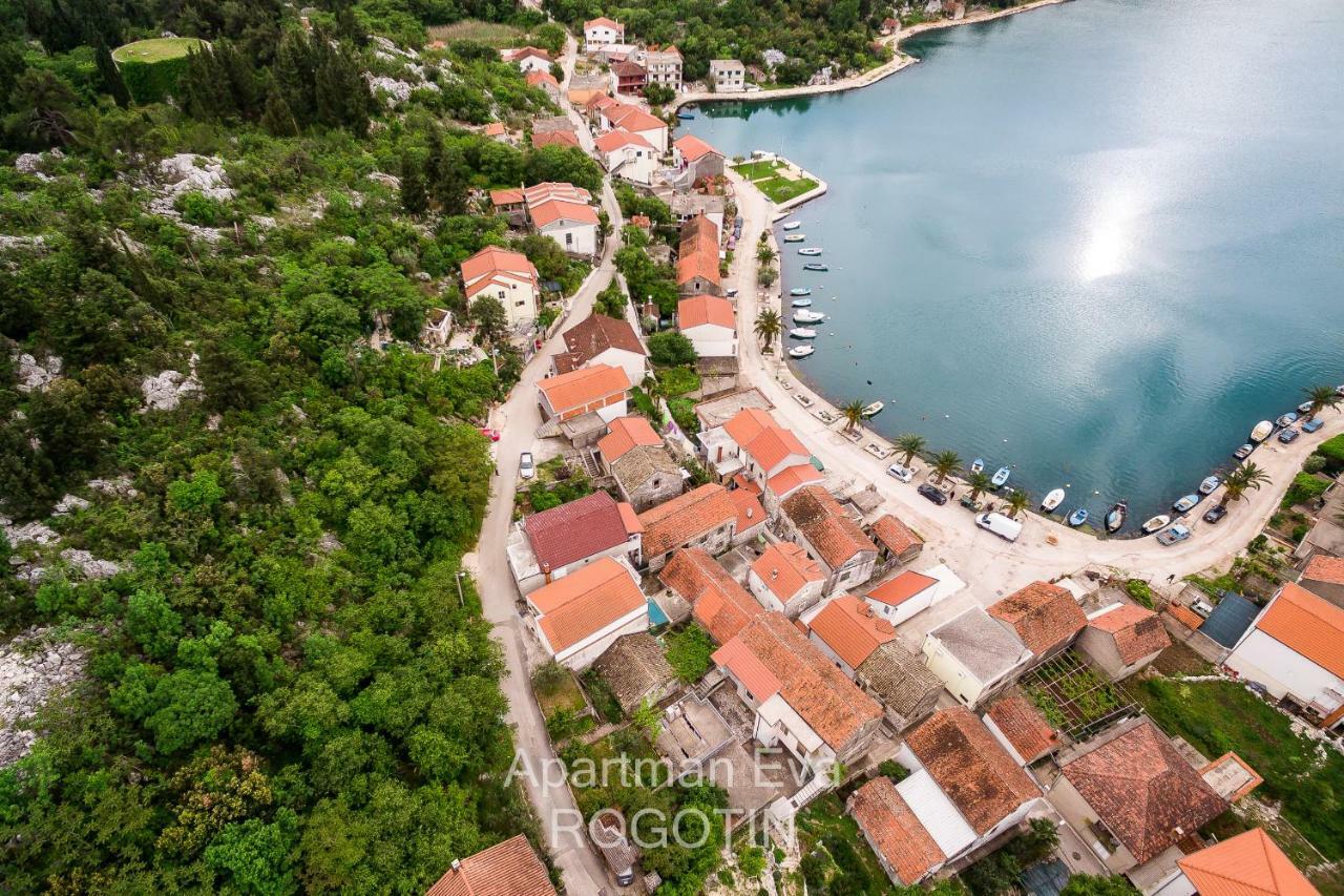 Apartman Eva Rogotin Kültér fotó